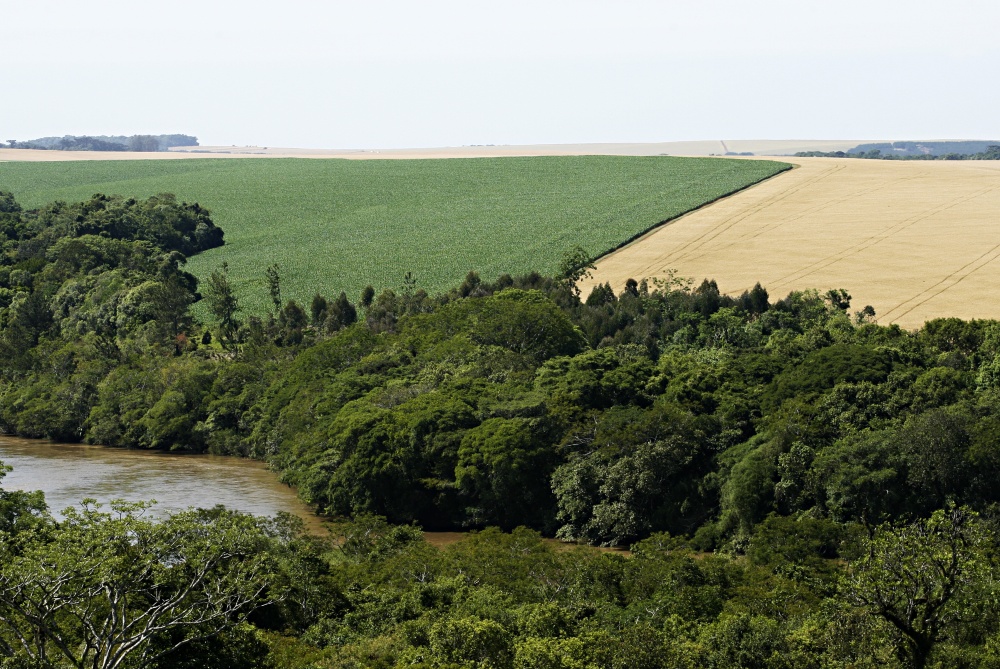 Implantação do CAR vai dispensar a averbação de áreas de preservação permanente e reserva legal. | Josua© Teixeira / Gazeta Do Povo