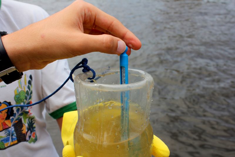 | SOS Mata Atlântica