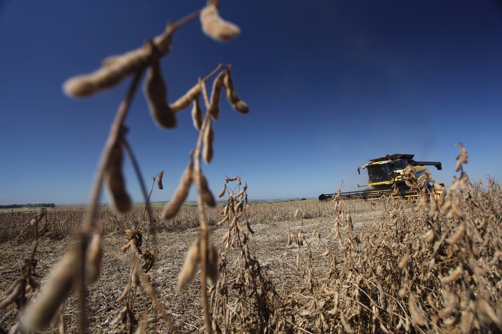 Depois de cortar 2 milhões de toneladas na estimativa de fevereiro devido a escassez de chuvas, Deral fez poucos ajustes nas estimativas para a soja e o milho. | Jonathan Campos / Gazeta Do Povo