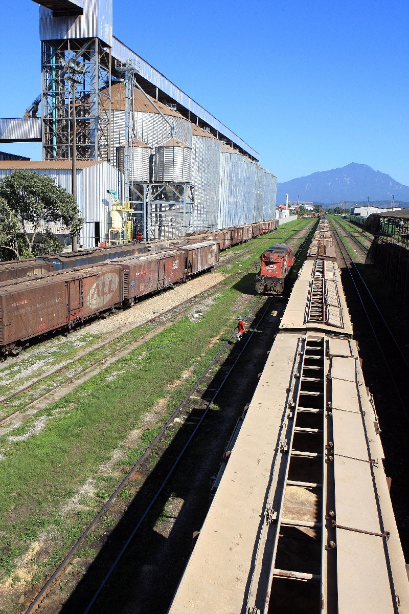 Ferrovias da ALL transportam 23% das safras de milho e soja | Ivonaldo Alexandre/ Gazeta do Povo