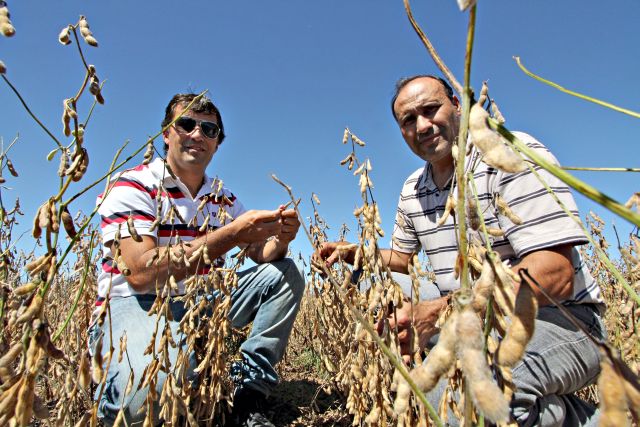 Lucro fica com o governo, reclamam German e Walter Santos | Christian Rizzi/gazeta Do Povo