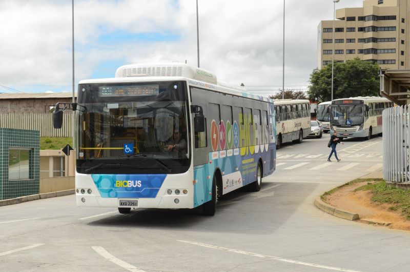 Veículos têm ar-condicionado e internet sem fio | Roberto Dziúra/Prefeitura de São José dos Pinhais