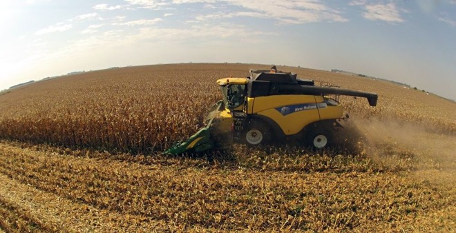 Aumento da previsão de produção do milho de inverno, que está em fase de colheita, evitou maior queda na produção nacional de grãos. |