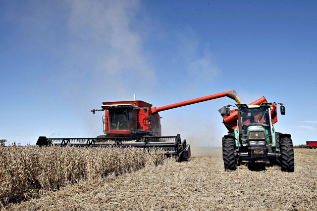 Pampas argentinos tendem a render 4 milhões de toneladas de soja a mais do que em 2012/13 | Christian Rizzi/gazeta Do Povo