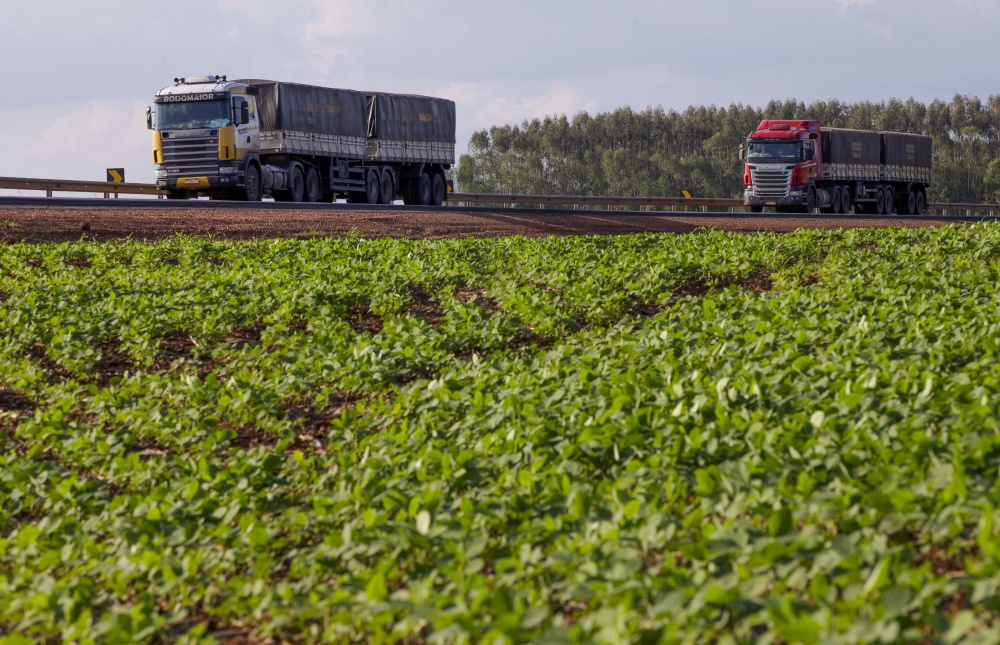 Falta de armazéns nas fazendas faz com que a colheita seja escoada de forma concentrada e sobrecarregue rodovias. | Foto: Hugo Harada/gazeta Do Povo