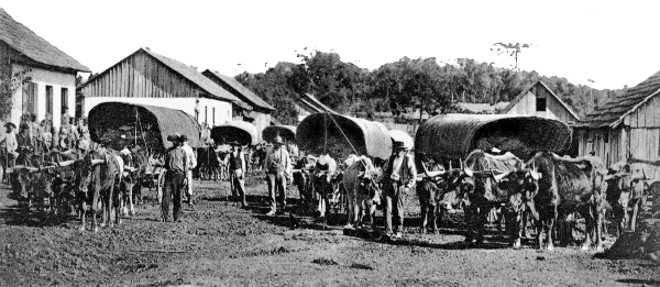 Na década de 1920 não se tinha a pressa de hoje. Também o transporte era em carroças, como as desses colonos estacionados na periferia de Curitiba | 