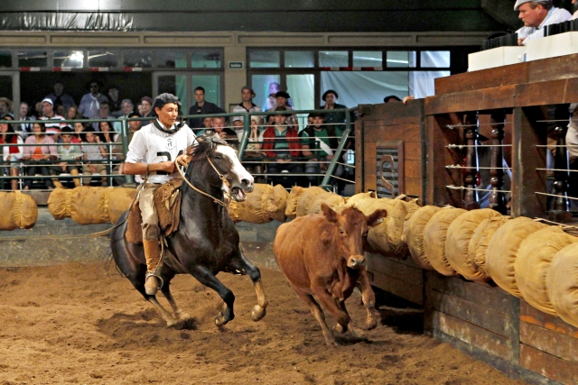 Após provas como a da mangueira, oito animais se classificaram para o Bocal de Ouro | Anta´nio More/gazeta Do Povo