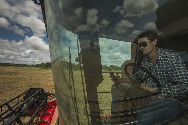 Jovem paranaense, Ramon Dijkstra, comanda colheita em 820 hectares plantados com soja ao Sul de Tocantins | Marcelo Andrade / Gazeta Do Povo