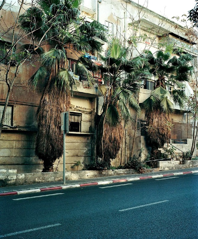 3 Palms, da série Things Here and Things Still to Come feita em Tel Aviv, em Israel |