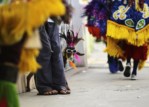Bode usando óculos ficou entre os foliões desfilando durante o carnaval tradicional Maracatu em Nazaré da Mata, Pernambuco | Ueslei Marcelino/ Reuters