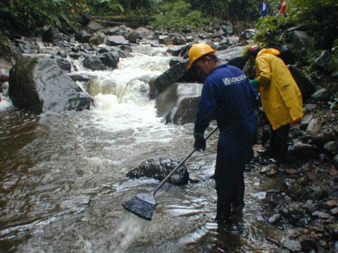 Com o rompimento do poliduto, mais de 40 mil litros de óleo se espalharam pelas baías de Antonina e Paranaguá | Aniele Nascimento/ Gazeta do Povo