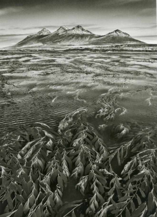 Foto do projeto Gênesis, em que se dedicou à natureza |