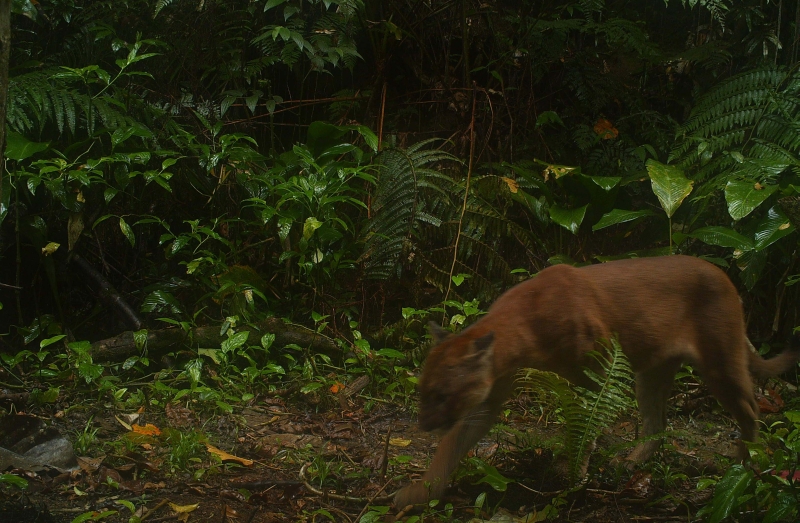 | Fundação O Boticário/Divulgação