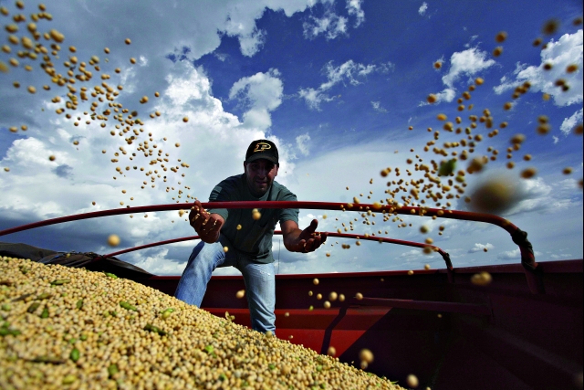 Em ano com preços altos, o produtor João Manoel Martins ampliou área em 8% e teve produtividade 10% maior em Abelardo Luz (SC) | Jonathan Campos/gazeta Do Povo