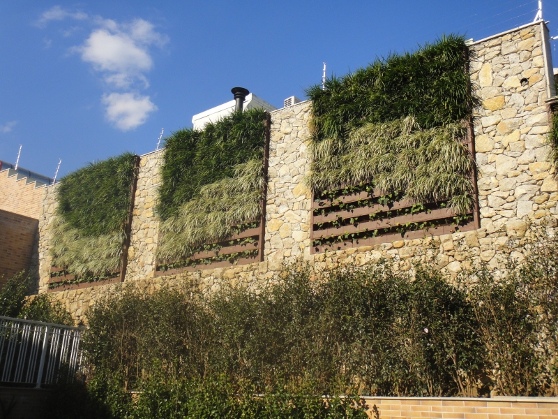 Sistema de módulos para jardins verticais permite projetos de diferentes formatos e tamanhos, utilizando variedades vegetais | Divulgação