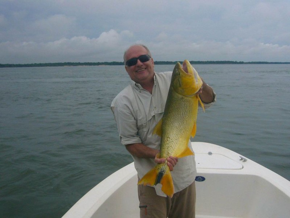  | Arquivo da família