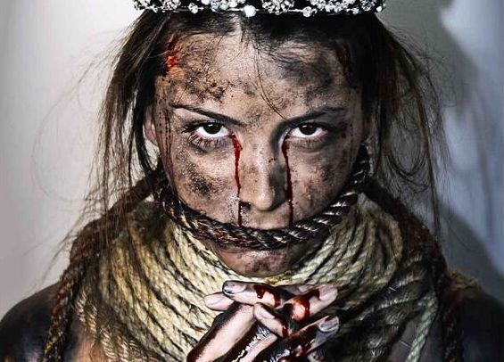 | Daniel Bracci / Reprodução Twitter