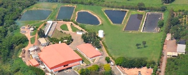 O VPR, de Colorado, redireciona carne para mercado externo |