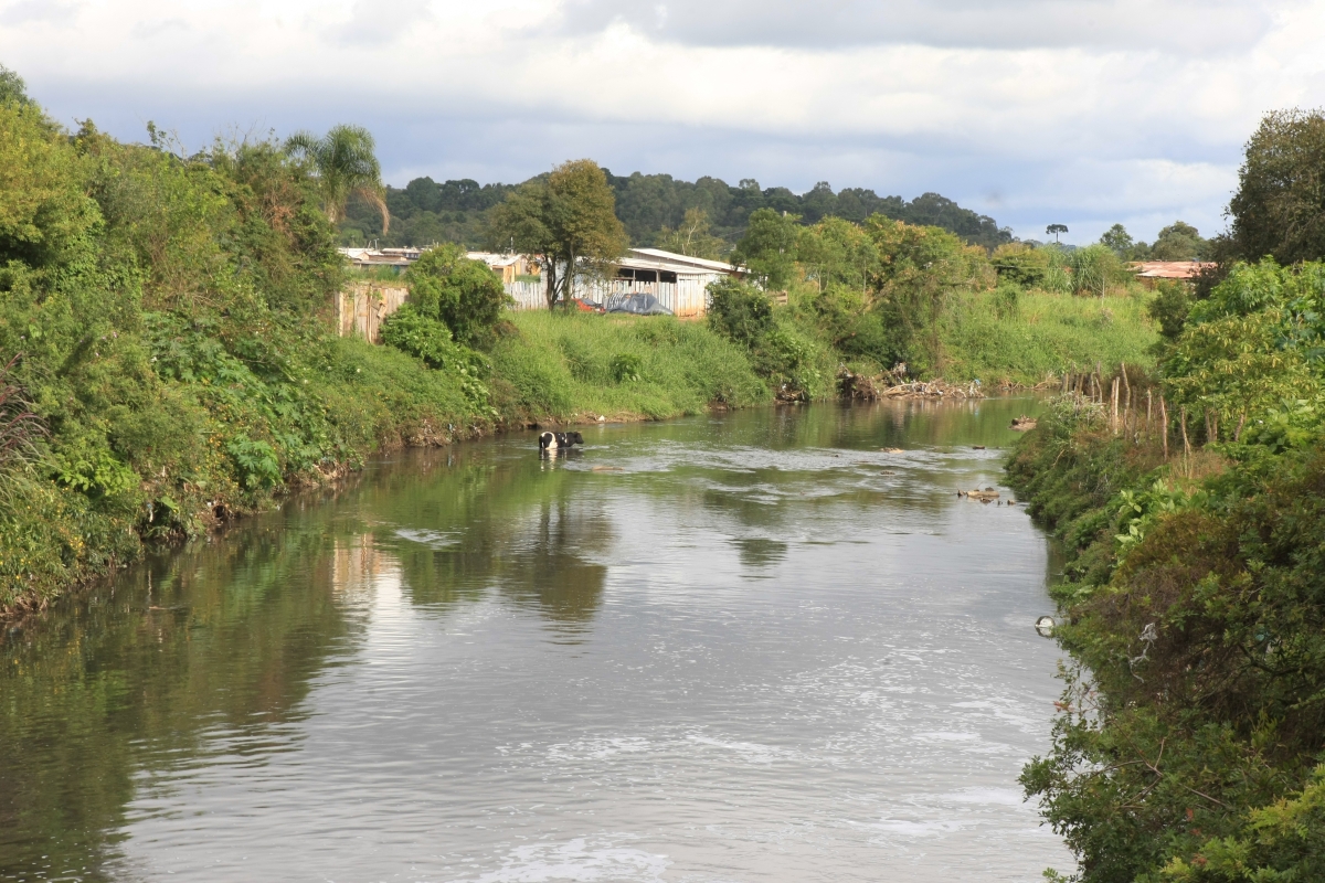 Segundo a prefeitura, famílias morando em áreas públicas terão que ser reassentadas | Ivonaldo Alexandre/Agência de Notícias Gazeta do Povo