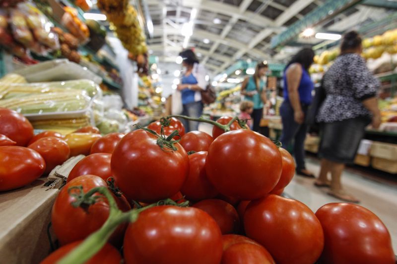O tomate subiu 90% no mês de maço em comparação com fevereiro e influenciou a alta no preço da cesta básica em Curitiba | Daniel Castellano / Agência de Notícias Gazeta do Povo