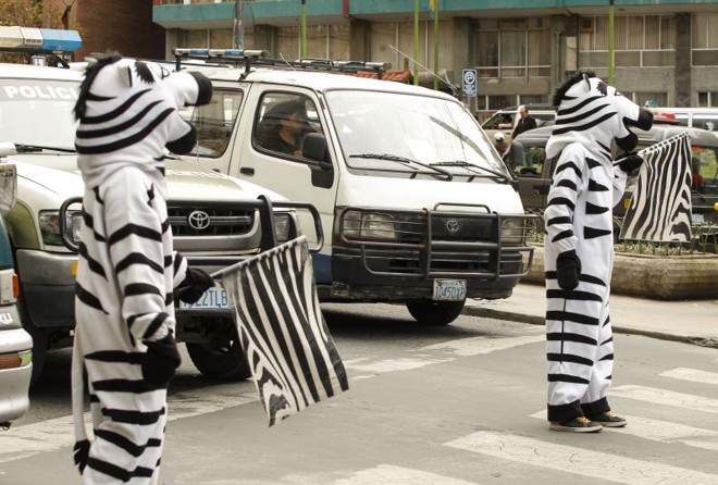 Zebras são personagens de projeto de educação no trânsito na capital boliviana | 