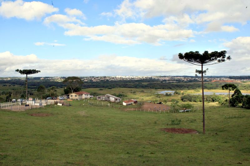 Parque do Bugio terá 800 hectares de área e deve ajudar a preservar a biodiversidade da região | Ivonaldo Alexandre/ Gazeta do Povo