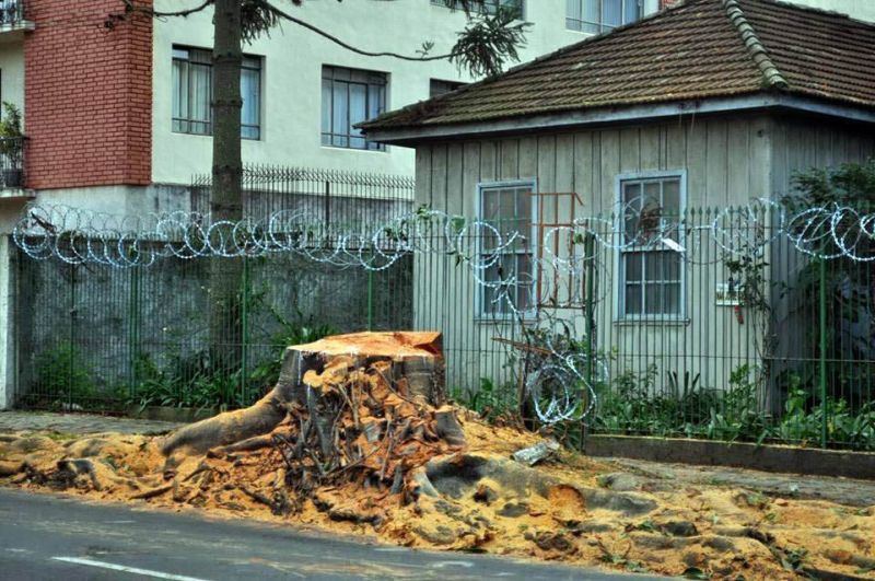 | Reprodução do Facebook