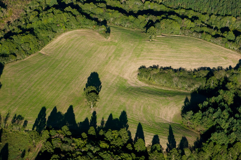 Adequação das propriedades rurais à nova legislação tem prazo de um ano, com possibilidade de prorrogação. | Henry Milla©o / Gazeta Do Povo