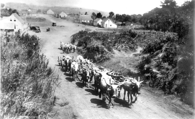 Carro de bois usado no Paraná, principalmente no Norte Pioneiro. A foto é do início de 1930 |