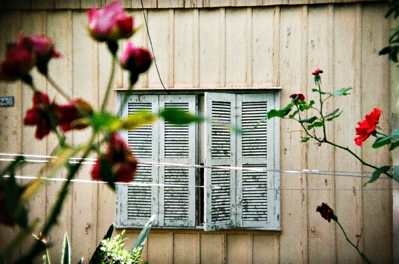 | Auana Zubek/Divulgação