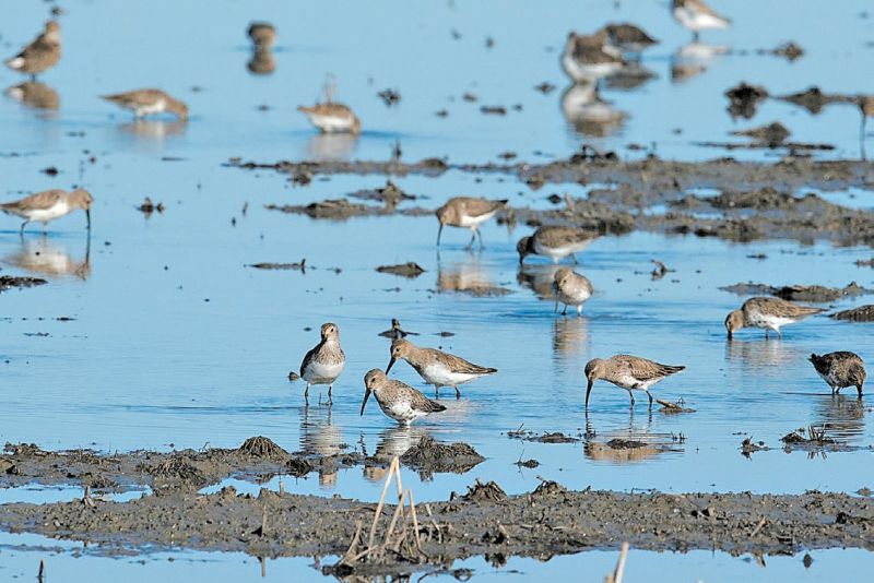 | Fotos: Drew Kelly/THE NATURE CONSERVANCY