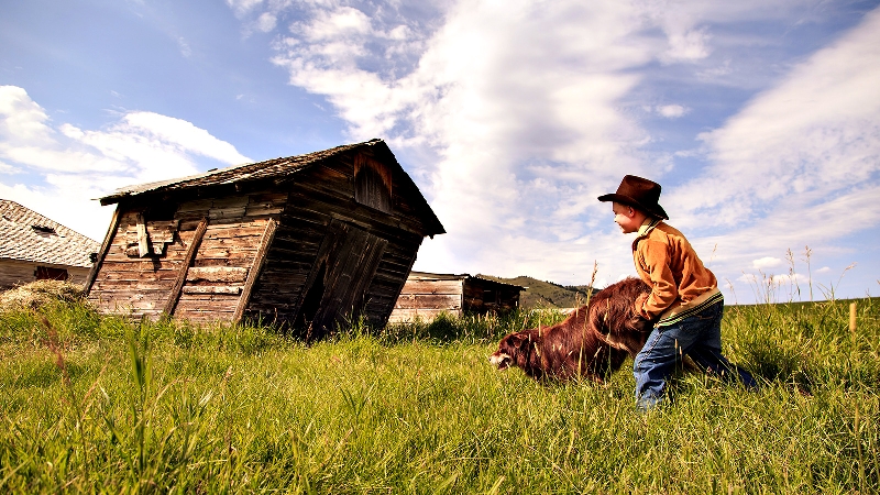 Novo filme do diretor de Amélie Poulain, narra a saga de um garoto pelo interior dos Estados Unidos | Divulgação