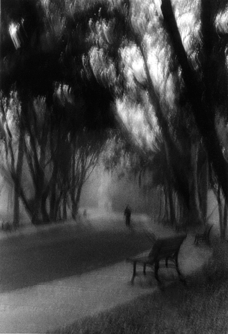 Fotógrafo Nego Miranda participa de bate-papo | Nego Miranda/Reprodução