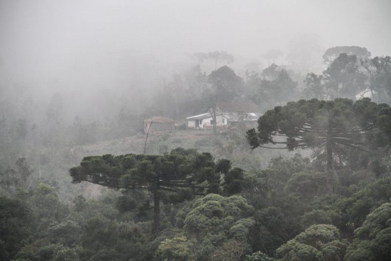 Além do frio, amanhecer em Curitiba teve neblina | Daniel Castellano/ Agência de Notícias Gazeta do Povo