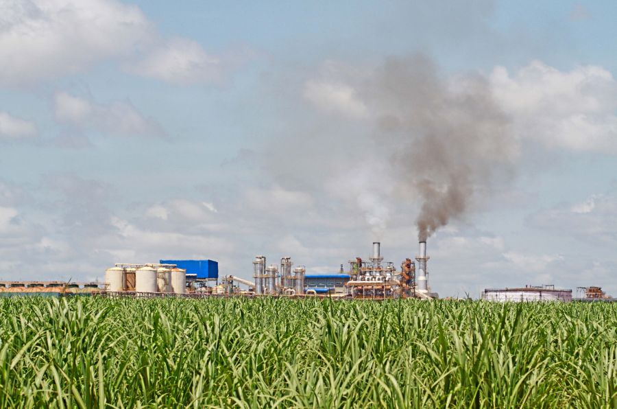 Número de usinas em operação está menor no país este ano, por conta da crise que afeta o setor. | Foto: Christian Rizzi/gazeta Do Povo