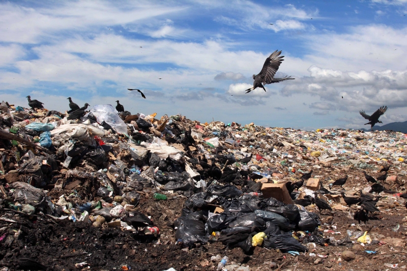 Até agosto de 2014 todos os 5.570 municípios brasileiros precisam substituir seus lixões por aterros sanitários adequados, entre outras exigências | Walter Campanato/ Gazeta do Povo