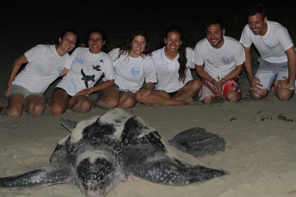 Integrantes do LEC durante monitoramento de desova de uma tartaruga-de-couro. | Divulgação / LEC