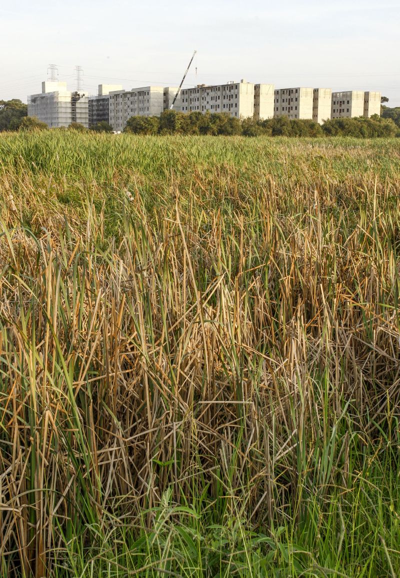 Em São José dos Pinhais, nas margens da BR-277, edificações foram erguidas em área de várzea | Hugo Harada/ Gazeta do Povo