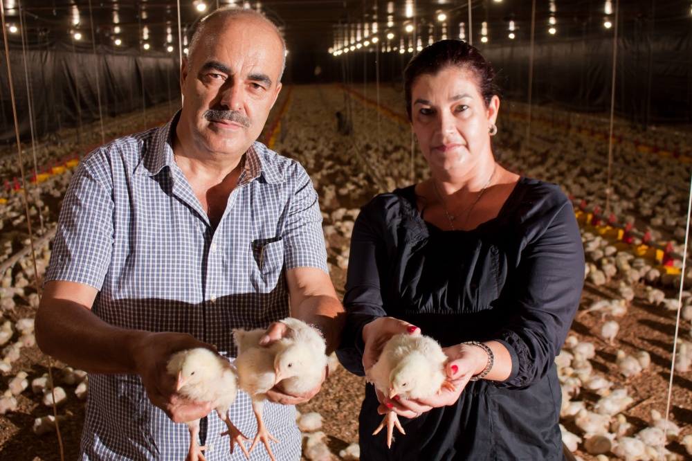 | Andrey Klagenberg / Especial Para Gazeta Do Povo