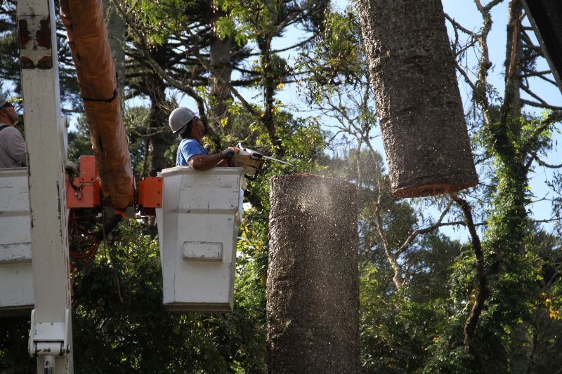 | Daniel Castellano/ Gazeta do Povo