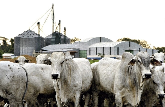 Vendas de carne bovina brasileira para o país asiático vem caindo drasticamente nos últimos anos. No primeiro semestre de 2014, não há registros de embarques. |