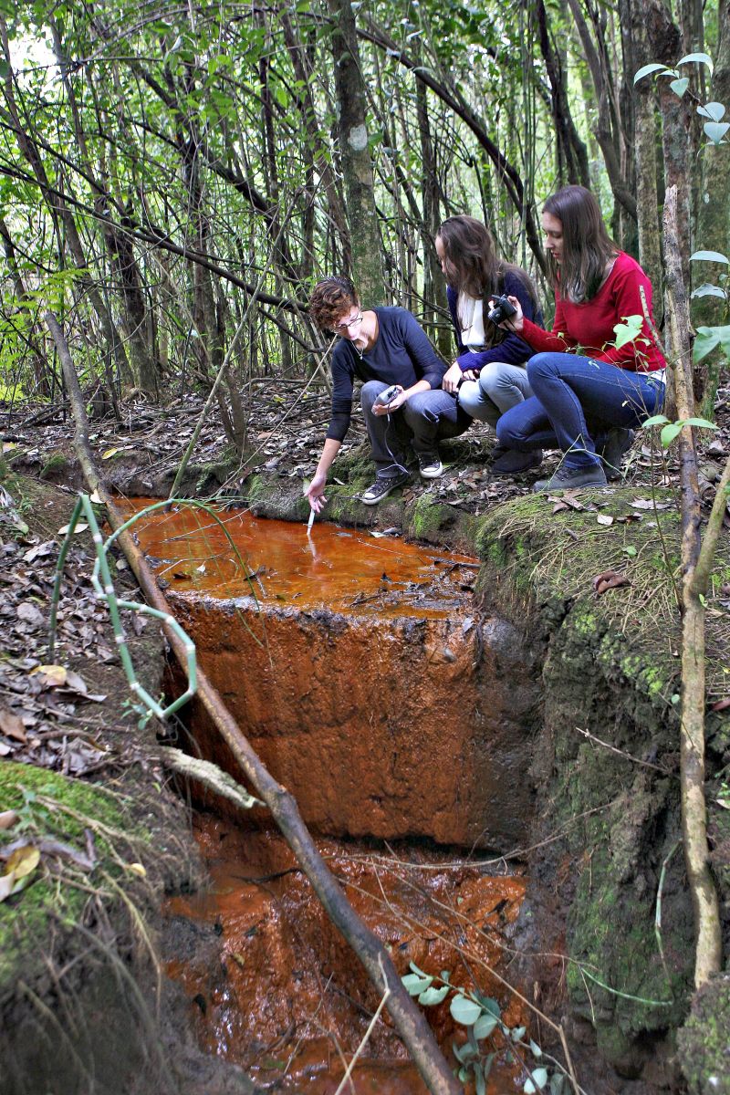 Localizar as nascentes do rio é a primeira etapa para preservá-las | Jonathan Campos/Gazeta do Povo
