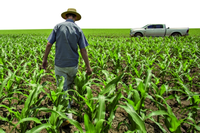 Produtores reduziram produção após queda de preços registrada no ano passado. Cotações se recuperaram mas podem sofrer nova pressão com boa safra nos EUA | Marcelo Andrade/gazeta Do Povo