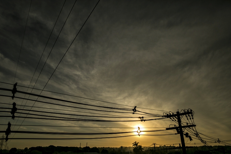 Demanda em dias de jogos do Brasil será menor, diz Abradee | Marcelo Andrade / Gazeta do Povo
