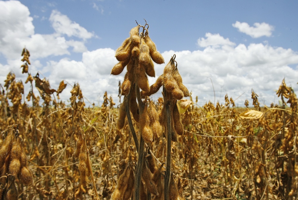 | Hugo Harada / Gazeta Do Povo
