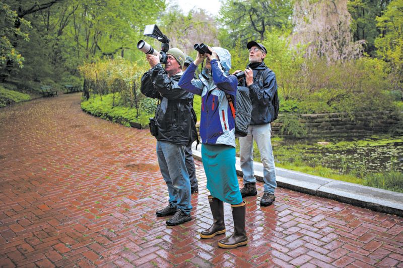 Pete Dunne fundou o Campeonato Mundial de Observação de Aves, que restringe a o uso da tecnologia | Ryan Collerd para The New York Times