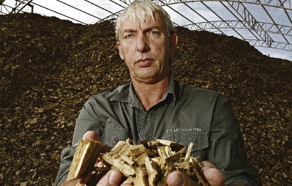 O silvicultor Albert Barkema passou a produzir madeira para parceiros da Castrolanda. Empresa compra 30% da lenha que precisa de terceiros | Josua© Teixeira/gazeta Do Povo