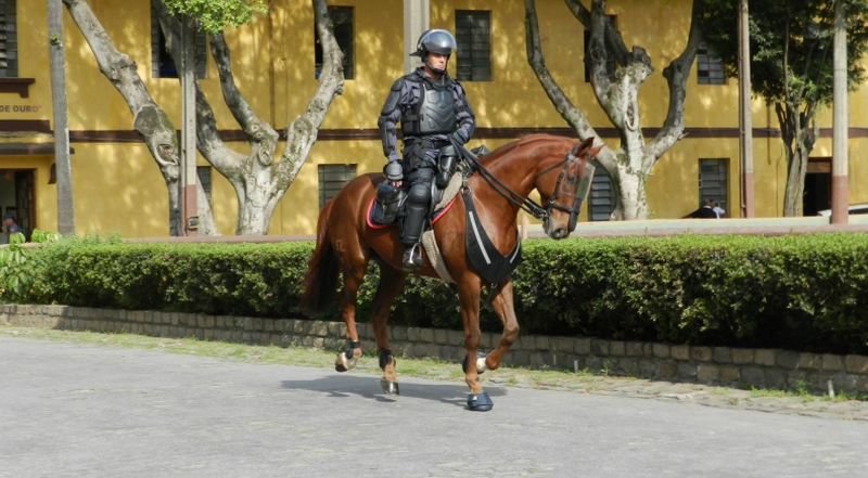 Governo desembolsou R$ 31 milhões com as armaduras | Divulgação