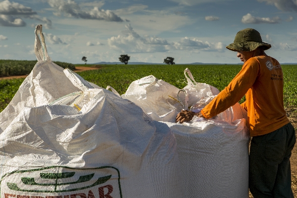 Com as compras antecipadas, nutrientes devem ser distribuídos às regiões agrícolas no tempo certo | Marcelo Andrade/gazeta Do Povo