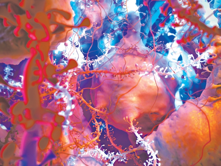 Um denso emaranhado de neurônios na animação Protein Packing | Harvard University, XVIVO Scientific Animation